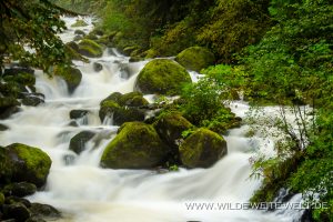 Oneonta-Creek-Columbia-River-Gorge-Oregon-2-300x200 Oneonta Creek