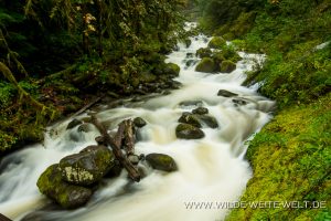 Oneonta-Creek-Columbia-River-Gorge-Oregon-3-300x200 Oneonta Creek