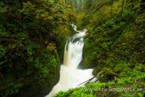 Oneonta-Falls-Columbia-River-Gorge-Oregon-2-300x200 Oneonta Falls