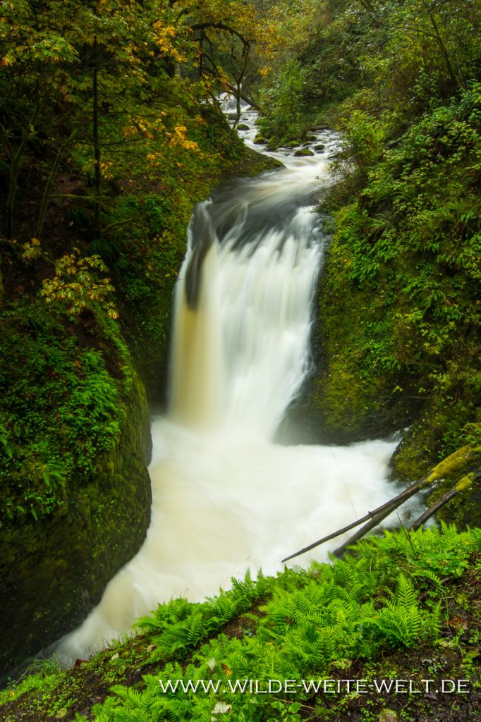 Oneonta-Falls-Columbia-River-Gorge-Oregon-2 Oneonta Falls [Columbia River Gorge, Horsetail und Oneonta Creek]