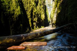 Oneonta-Gorge-Columbia-River-Gorge-Oregon-10-300x200 Oneonta Gorge