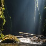 Oneonta-Gorge-Columbia-River-Gorge-Oregon Oneonta Gorge [Columbia River Gorge, Oneonta Creek]
