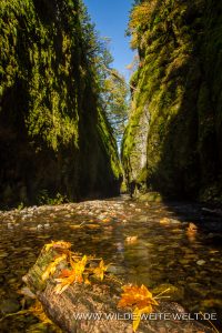 Oneonta-Gorge-Columbia-River-Gorge-Oregon-2-200x300 Oneonta Gorge