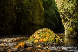 Oneonta-Gorge-Columbia-River-Gorge-Oregon-3-300x200 Oneonta Gorge