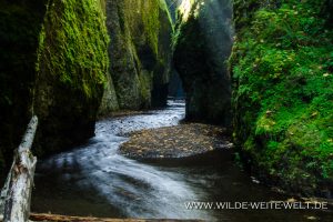 Oneonta-Gorge-Columbia-River-Gorge-Oregon-5-300x200 Oneonta Gorge