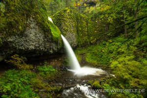 Ponytail-Falls-Columbia-River-Gorge-Oregon-3-300x200 Ponytail Falls
