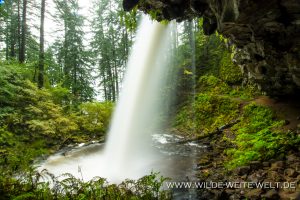 Ponytail-Falls-Columbia-River-Gorge-Oregon-5-300x200 Ponytail Falls