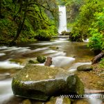 Wiesendanger-Falls-Columbia-River-Gorge-Oregon-4 Wiesendanger Falls [Columbia River Gorge, Multnomah Creek]