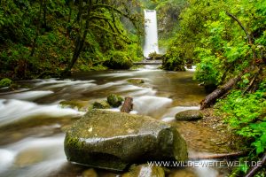 Wiesendanger-Falls-Columbia-River-Gorge-Oregon-300x200 Wiesendanger Falls