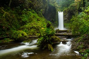 Wiesendanger-Falls-Columbia-River-Gorge-Oregon-4-300x200 Wiesendanger Falls