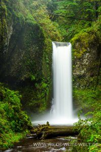 Wiesendanger-Falls-Columbia-River-Gorge-Oregon-7-200x300 Wiesendanger Falls