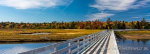 Boardwalk-mit-Fall-Color-Kouchibuaguac-Nationalpark-New-Brunswick-Kanada-5-300x109 Boardwalk mit Fall Color