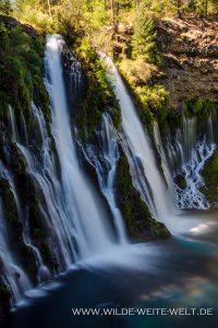 Burney-Falls-McArthur-Burney-Falls-State-Park-California-10-200x300 Burney Falls