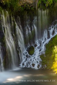 Burney-Falls-McArthur-Burney-Falls-State-Park-California-8-200x300 Burney Falls