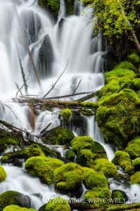 Clearwater-Falls-Umpqua-National-Forest-Oregon-10-199x300 Clearwater Falls