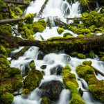 Clearwater-Falls-Umpqua-National-Forest-Oregon-2 Clearwater Falls [North Umpqua River]