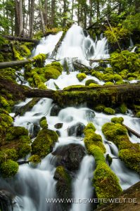Clearwater-Falls-Umpqua-National-Forest-Oregon-14-199x300 Clearwater Falls
