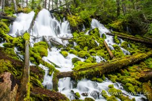 Clearwater-Falls-Umpqua-National-Forest-Oregon-2-300x199 Clearwater Falls