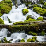 Clearwater-Falls-Umpqua-National-Forest-Oregon-2 Clearwater Falls [North Umpqua River]