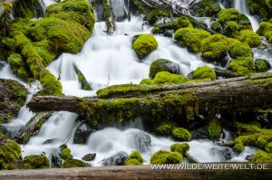 Clearwater-Falls-Umpqua-National-Forest-Oregon-8-300x199 Clearwater Falls