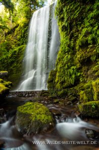 Clover-Falls-Little-River-Area-Umpqua-National-Forest-Oregon-2-199x300 Clover Falls