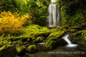 Clover-Falls-Little-River-Area-Umpqua-National-Forest-Oregon-3-300x199 Clover Falls