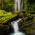 Clover-Falls-Little-River-Area-Umpqua-National-Forest-Oregon-3 Clover Falls [Lake in the Woods]