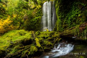 Clover-Falls-Little-River-Area-Umpqua-National-Forest-Oregon-6-300x199 Clover Falls