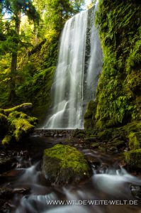 Clover-Falls-Little-River-Area-Umpqua-National-Forest-Oregon-7-199x300 Clover Falls