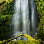 Clover-Falls-Little-River-Area-Umpqua-National-Forest-Oregon-3 Clover Falls [Lake in the Woods]