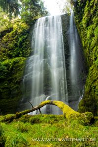 Clover-Falls-Little-River-Area-Umpqua-National-Forest-Oregon-9-199x300 Clover Falls