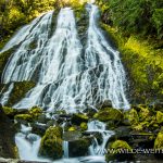 Diamond Creek Falls - Willamette National Forest, Oregon