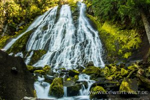 Diamond-Creek-Falls-Willamette-National-Forest-Oregon-3-300x200 Diamond Creek Falls