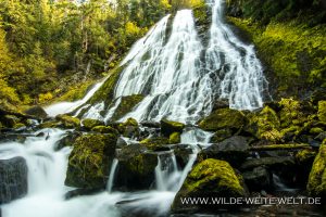 Diamond-Creek-Falls-Willamette-National-Forest-Oregon-300x200 Diamond Creek Falls