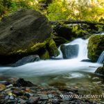 Diamond-Creek-Falls-Willamette-National-Forest-Oregon-3 Diamond Creek Falls [Willamette River}