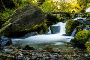 Diamond-Creek-Falls-Willamette-National-Forest-Oregon-4-300x200 Diamond Creek Falls