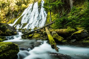 Diamond-Creek-Falls-Willamette-National-Forest-Oregon-5-300x200 Diamond Creek Falls