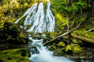 Diamond-Creek-Falls-Willamette-National-Forest-Oregon-8-300x200 Diamond Creek Falls
