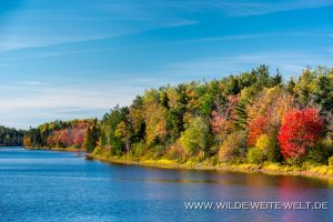 Fall-Color-Kouchibuaguac-Nationalpark-New-Brunswick-Kanada-18-1-300x200 Fall Color