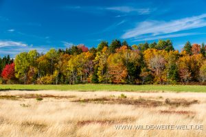 Fall-Color-New-Salem-Chignecto-Bay-Nova-Scotia-Kanada-300x200 Fall Color