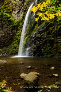 Fall-Creek-Falls-Umpqua-National-Forest-Oregon-199x300 Fall Creek Falls