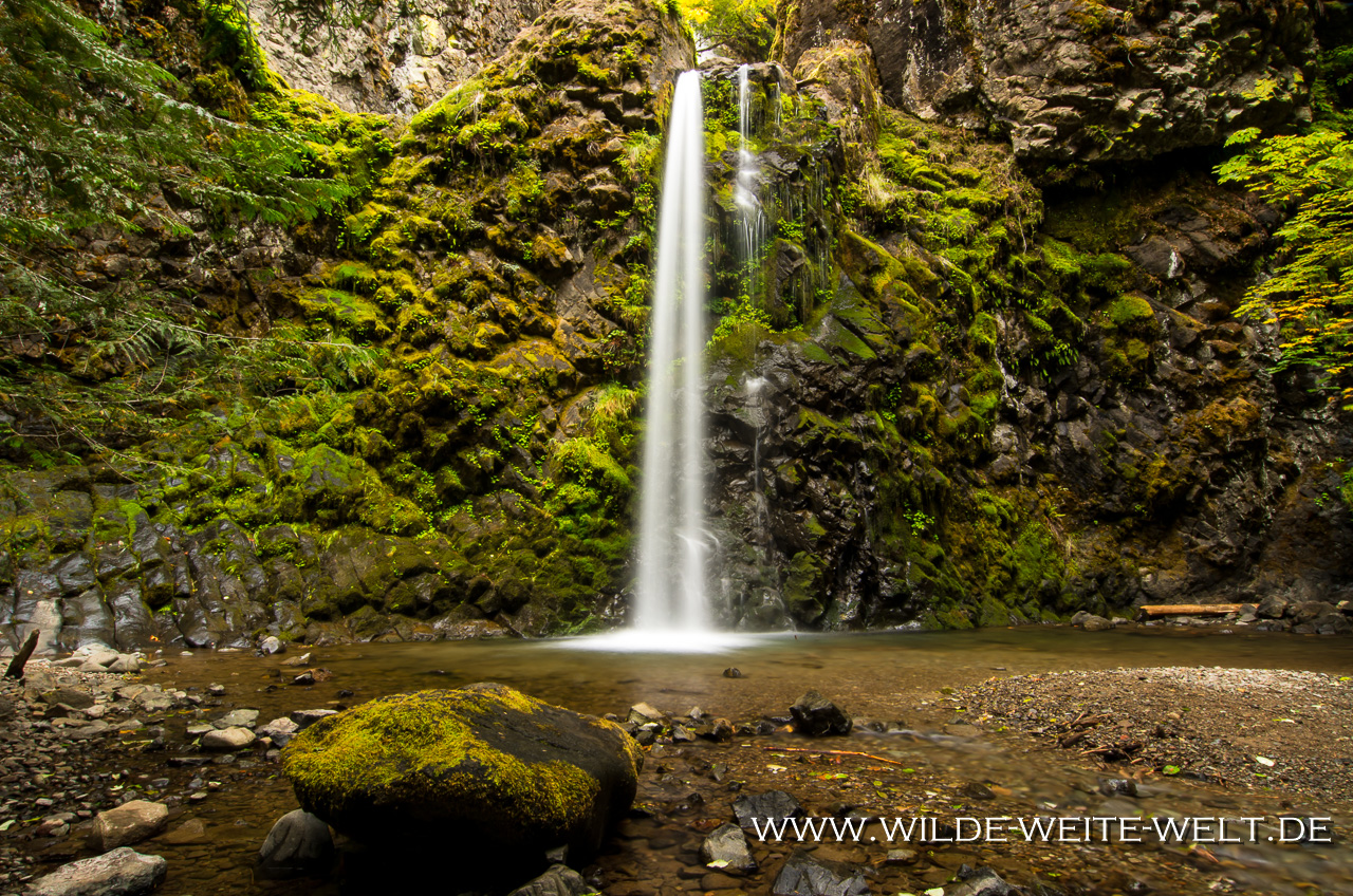 Fall Creek Falls - Umpqua National Forest, Oregon