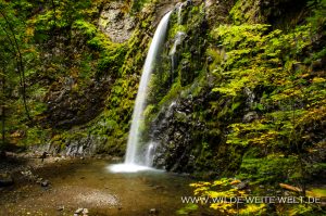 Fall-Creek-Falls-Umpqua-National-Forest-Oregon-7-300x199 Fall Creek Falls