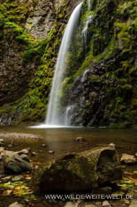 Fall-Creek-Falls-Umpqua-National-Forest-Oregon-9-199x300 Fall Creek Falls