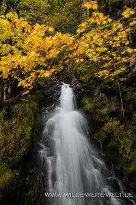 Fall-Creek-Falls-Upper-Tier-Umpqua-National-Forest-Oregon-199x300 Fall Creek Falls Upper Tier