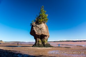 Hopewell-Rocks-Bay-of-Fundy-New-Brunswick-Kanada-3-300x200 Hopewell Rocks