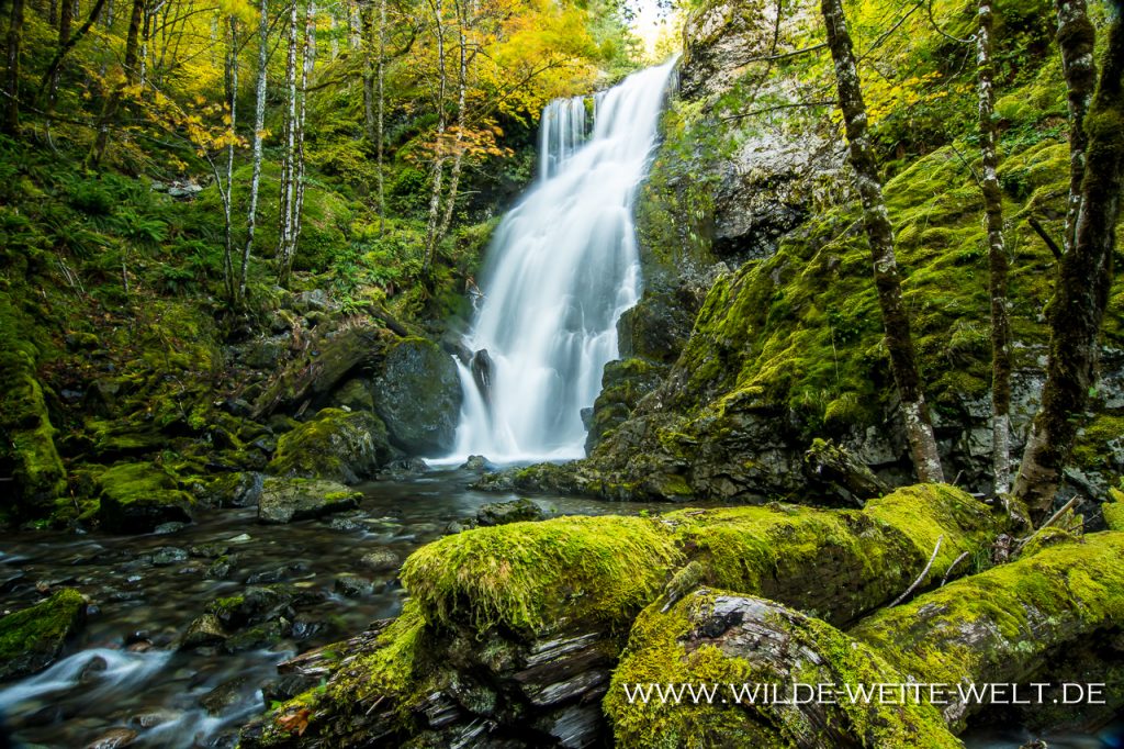 Jerry-Falls-Opal-Creek-Wilderness-Willamette-National-Forest-Oregon-5 Jerry Falls [Henline Creek]