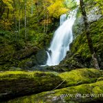 Jerry-Falls-Opal-Creek-Wilderness-Willamette-National-Forest-Oregon-5 Jerry Falls [Henline Creek]