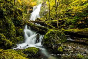 Jerry-Falls-Opal-Creek-Wilderness-Willamette-National-Forest-Oregon-5-300x200 Jerry Falls