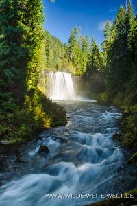 Koosah-Falls-McKenzie-River-Willamette-National-Forest-Oregon-10-200x300 Koosah Falls
